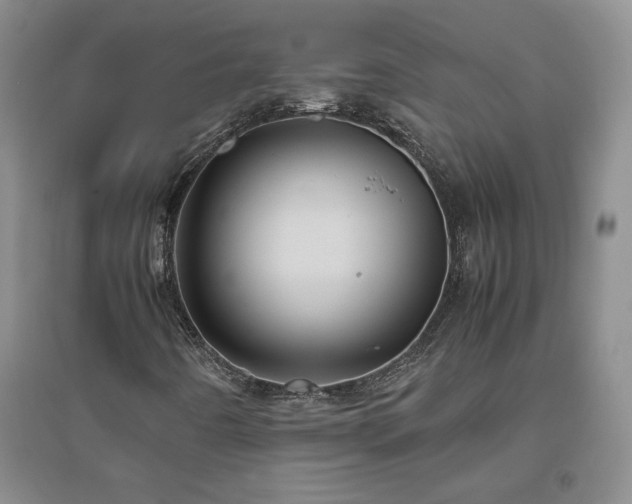 X0000094801442200711161446