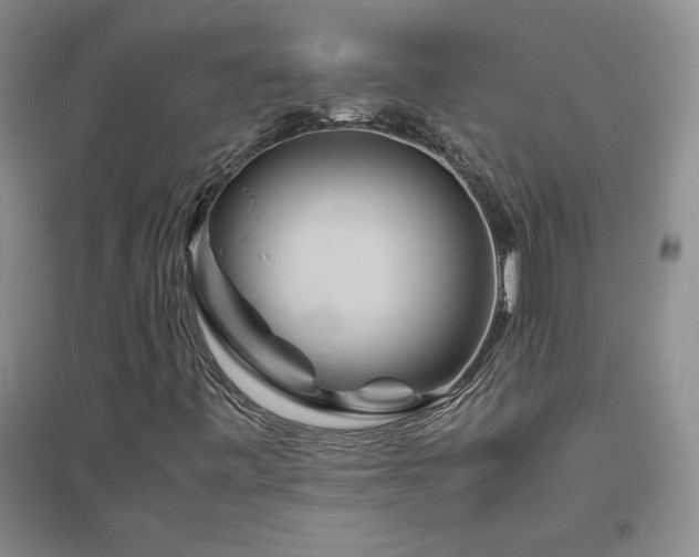 X0000094801443200711161446