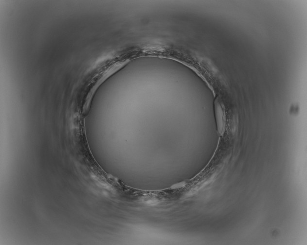 X0000094801445200711161446