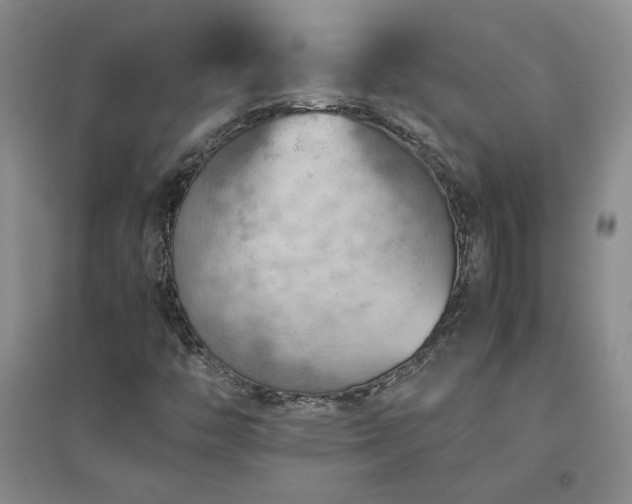 X0000094801446200711161446