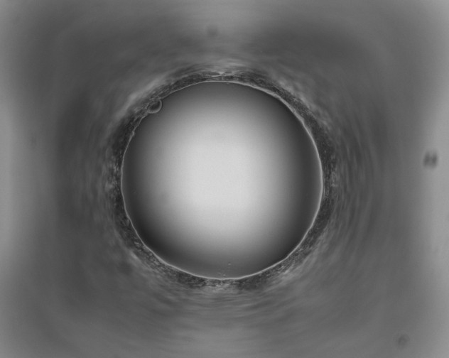 X0000094801447200711161446