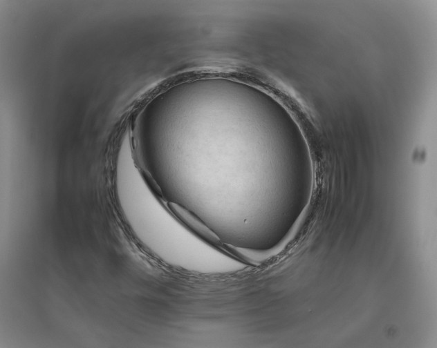 X0000094801448200711161446