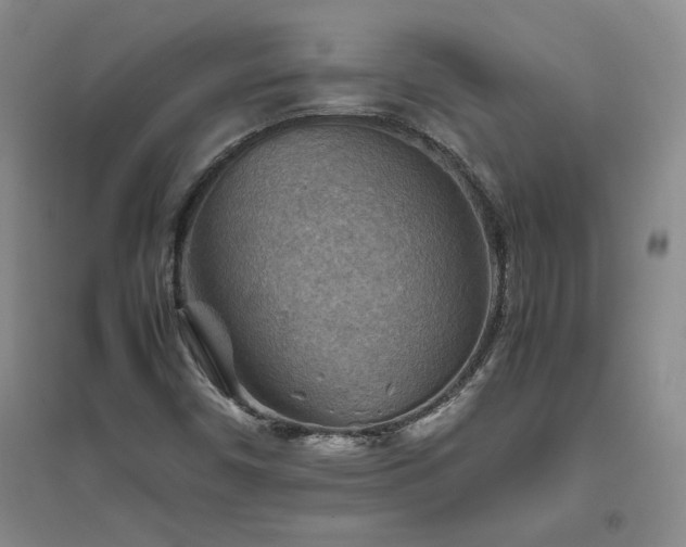 X0000094801450200711161446