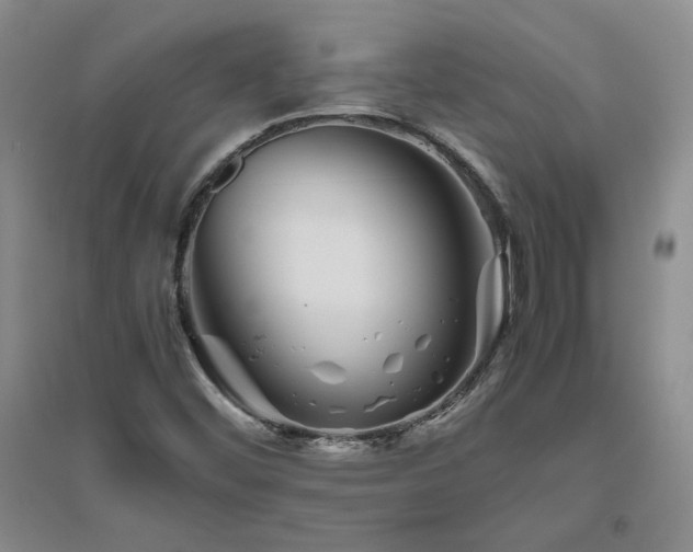 X0000094801452200711161446