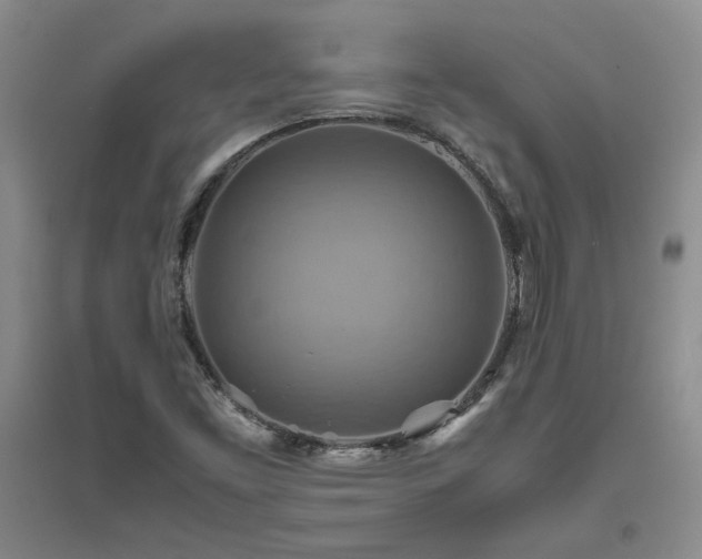 X0000094801453200711161446