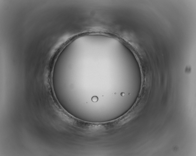 X0000094801454200711161446