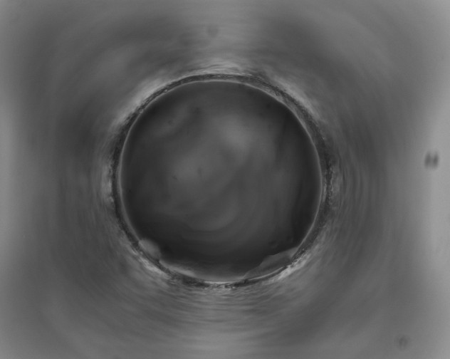 X0000094801455200711161446