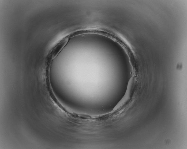 X0000094801456200711161446
