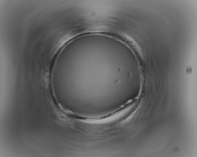 X0000094801457200711161446