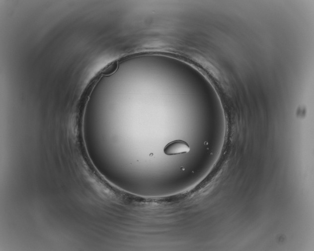 X0000094801458200711161446
