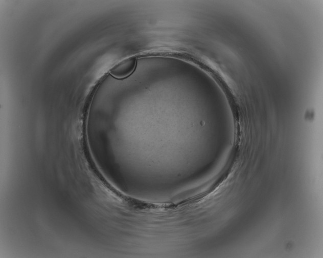 X0000094801459200711161446