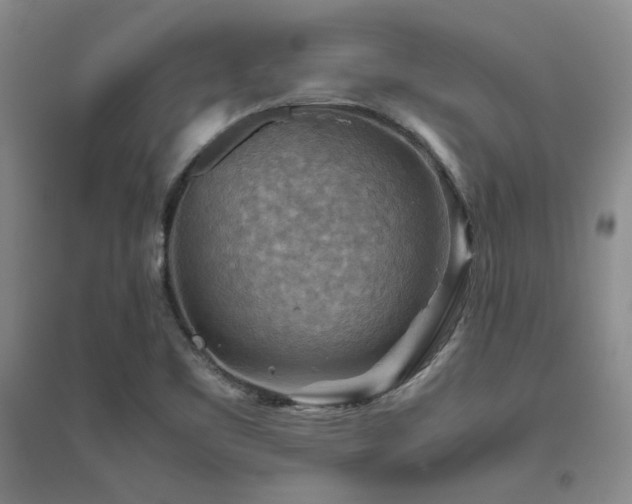X0000094801461200711161446