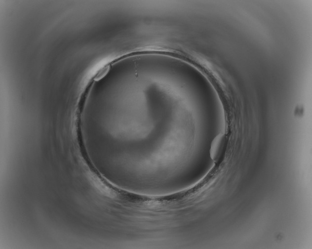 X0000094801463200711161446