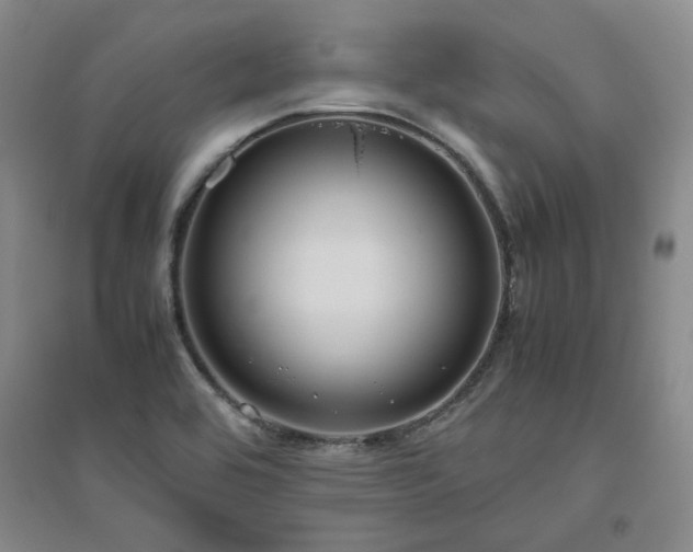 X0000094801464200711161446