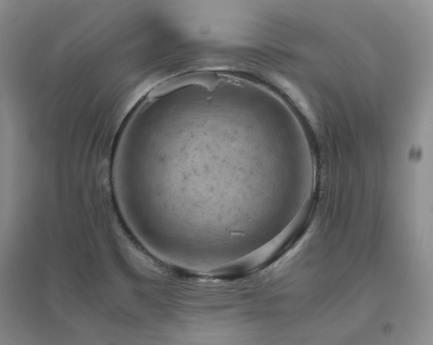 X0000094801465200711161446