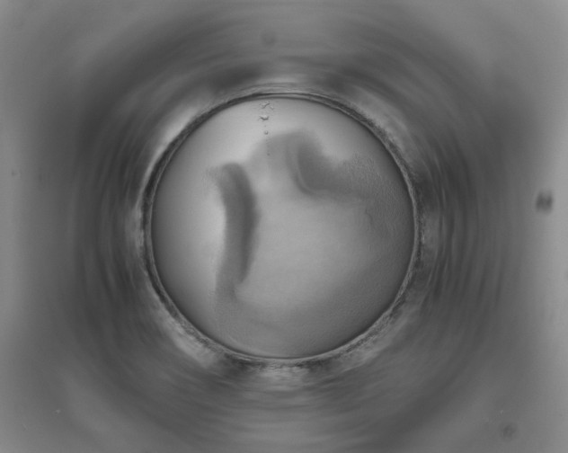 X0000094801466200711161446