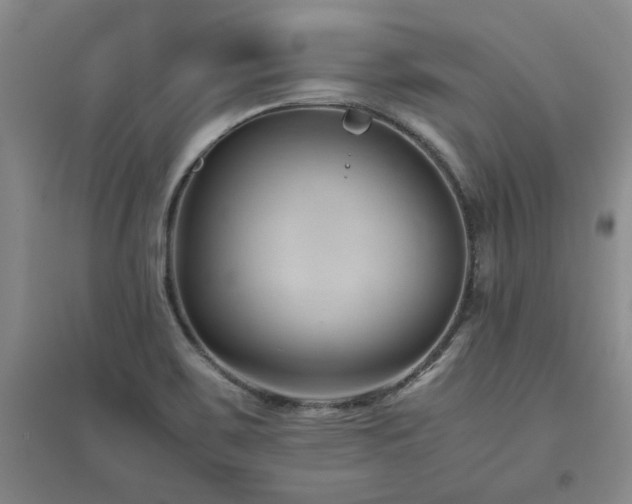 X0000094801467200711161446