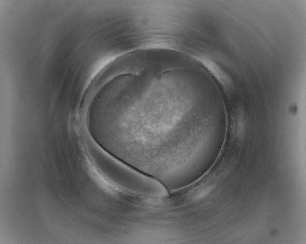 X0000094801468200711161446