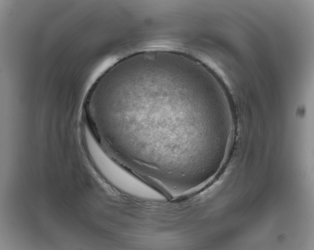 X0000094801469200711161446