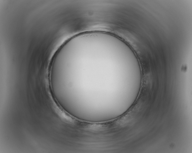 X0000094801470200711161446