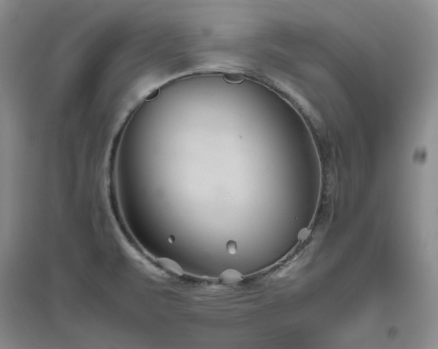 X0000094801471200711161446
