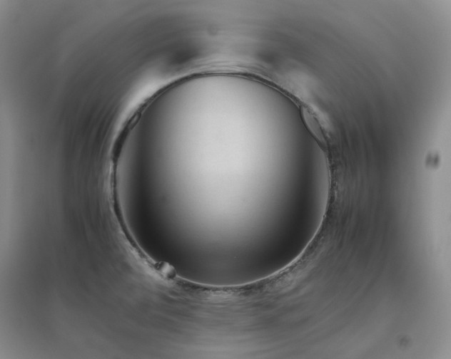 X0000094801472200711161446