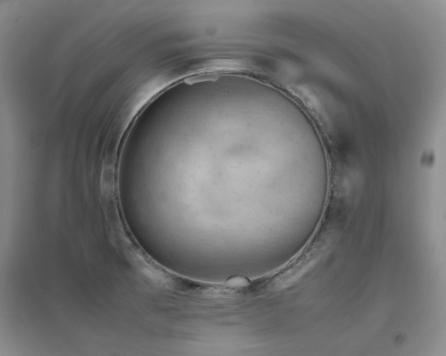 X0000094801473200711161446