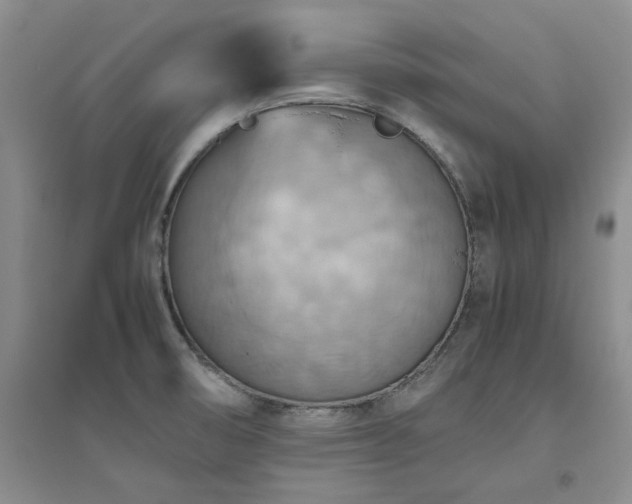 X0000094801474200711161446