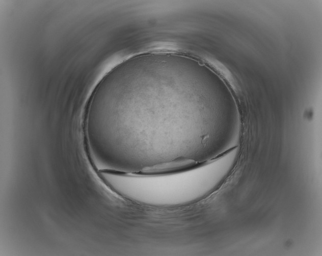 X0000094801475200711161446