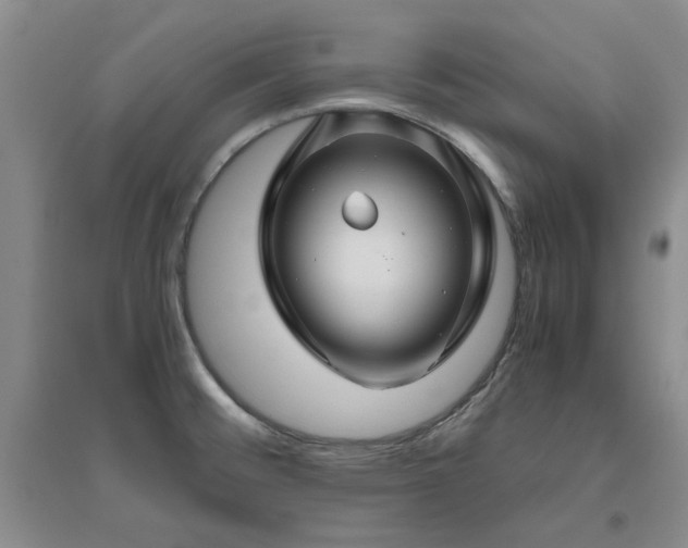 X0000094801476200711161446