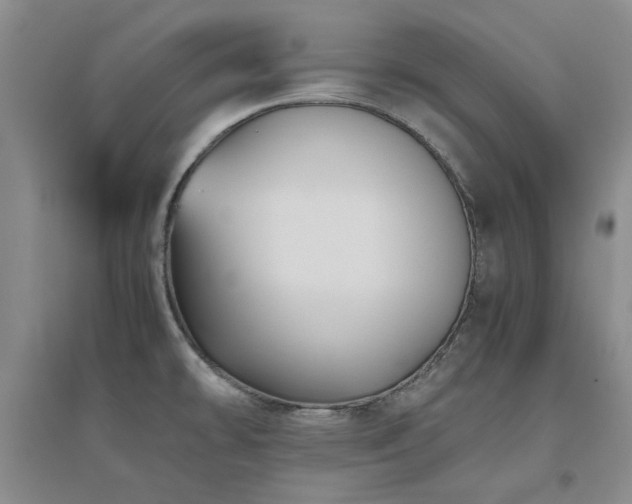X0000094801478200711161446