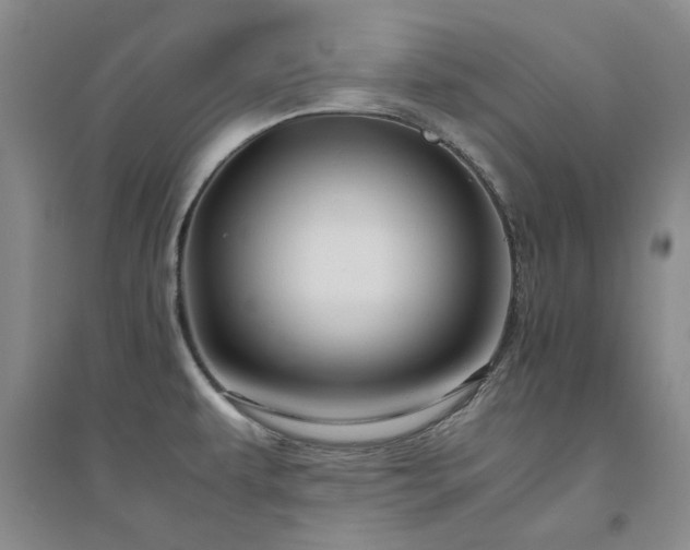 X0000094801479200711161446