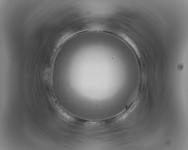 X0000094801481200711161446