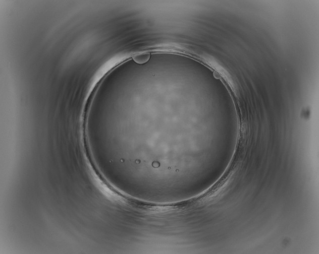 X0000094801482200711161446