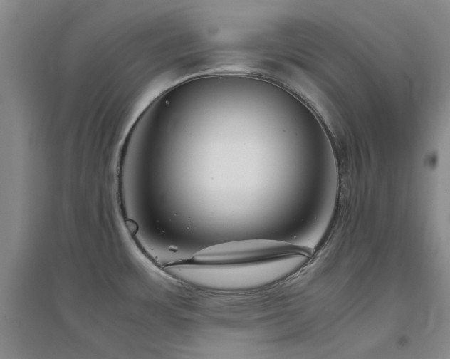 X0000094801483200711161446