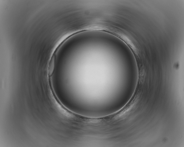 X0000094801484200711161446
