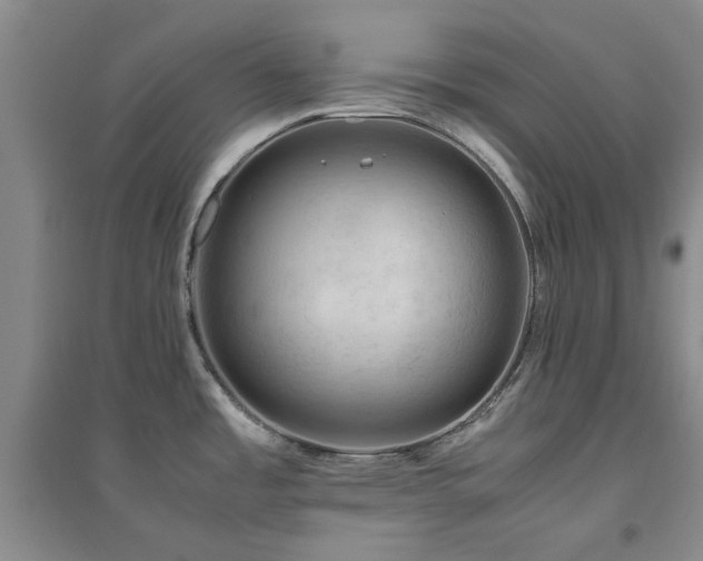 X0000094801485200711161446