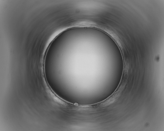 X0000094801486200711161446
