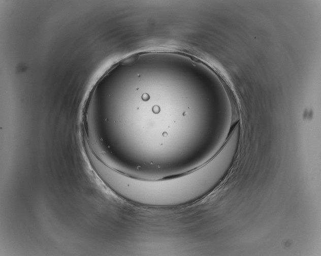 X0000094801488200711161446