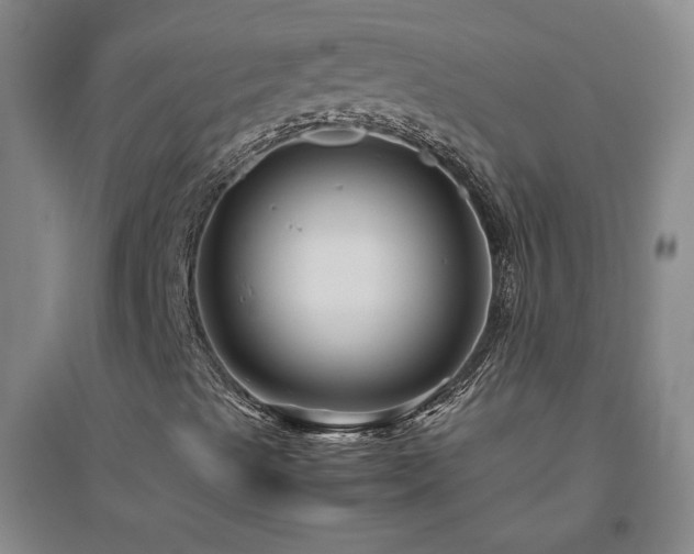 X0000094801489200711161445