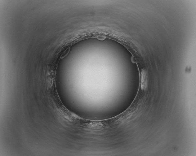 X0000094801491200711161445
