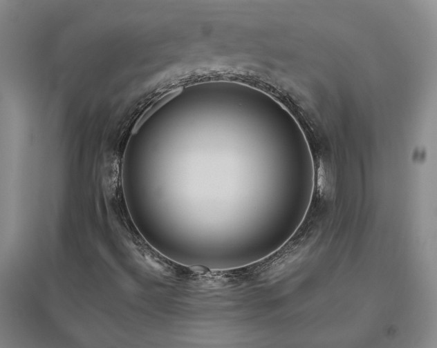 X0000094801492200711161445