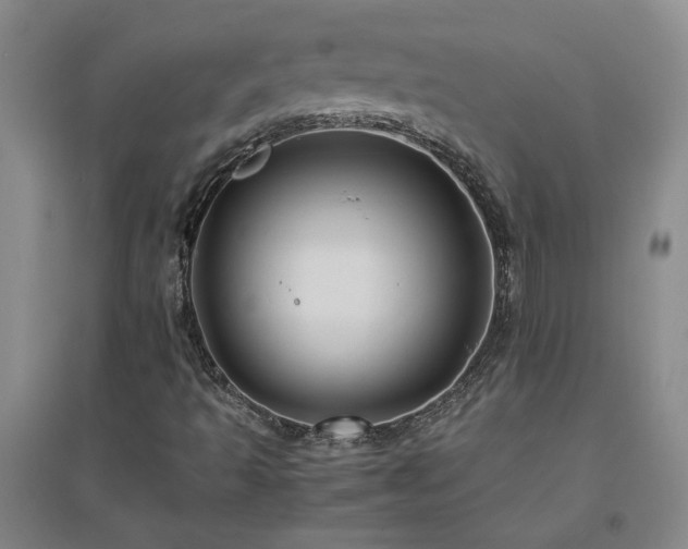 X0000094801493200711161445