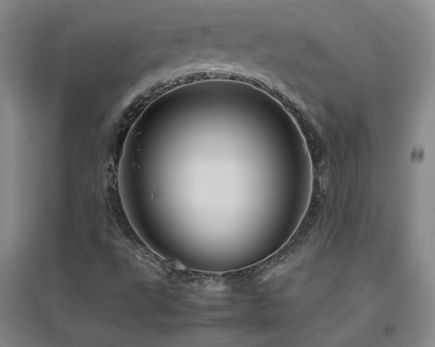 X0000094801495200711161445
