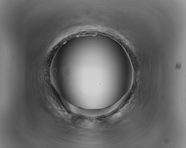X0000094801496200711161445