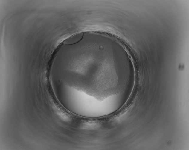 X0000094801497200711161445