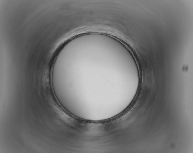 X0000094801498200711161445