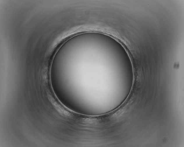 X0000094801499200711161445