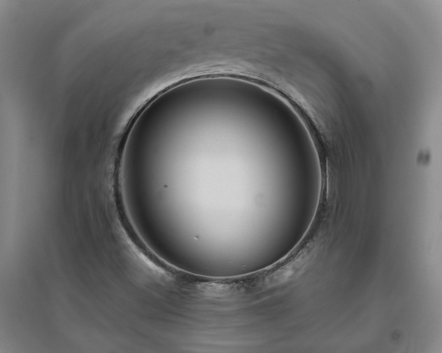 X0000094801500200711161445