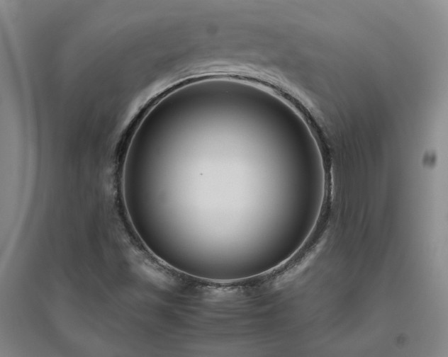 X0000094801501200711161445